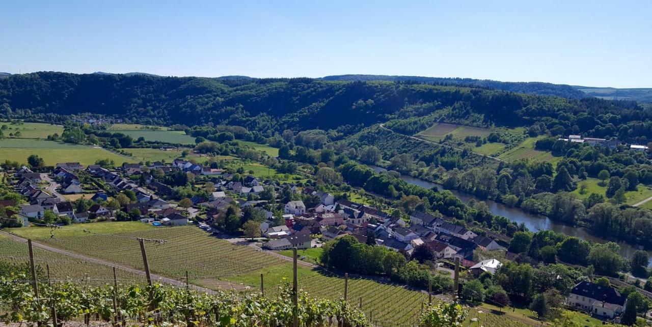 Zur Alten Rebe Ferienhaus Und Weingut Konz Eksteriør bilde