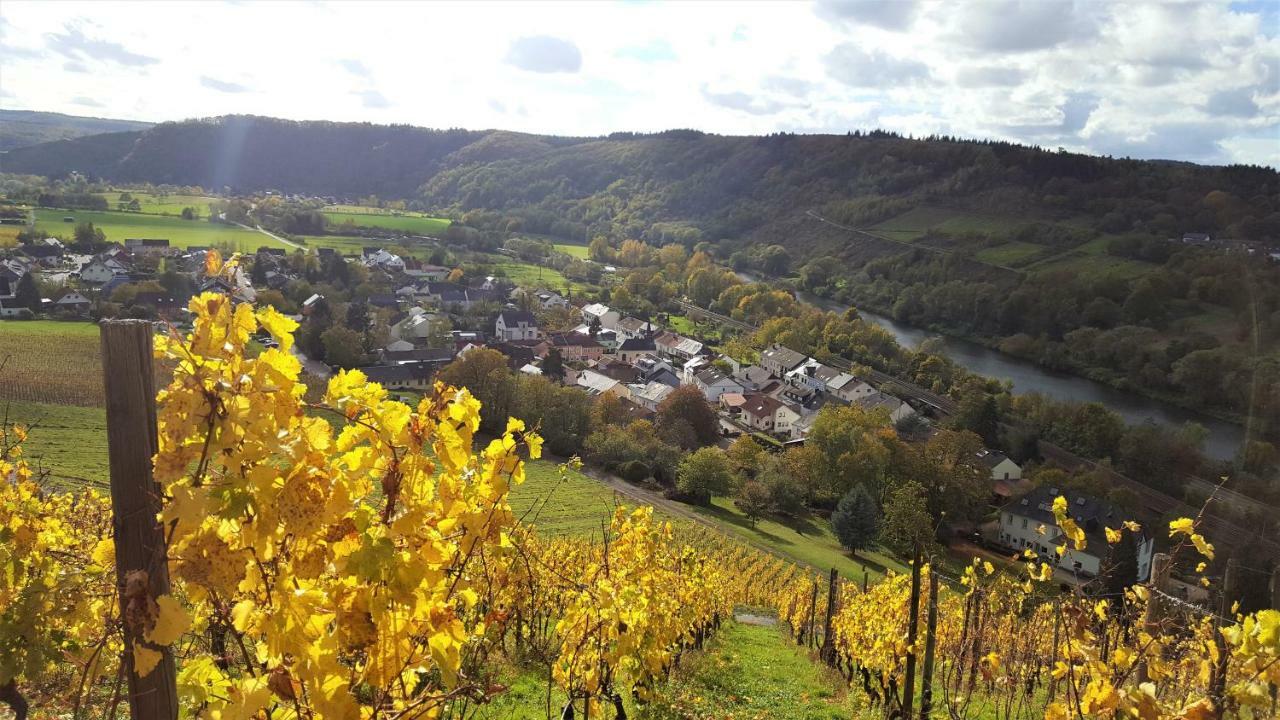 Zur Alten Rebe Ferienhaus Und Weingut Konz Eksteriør bilde