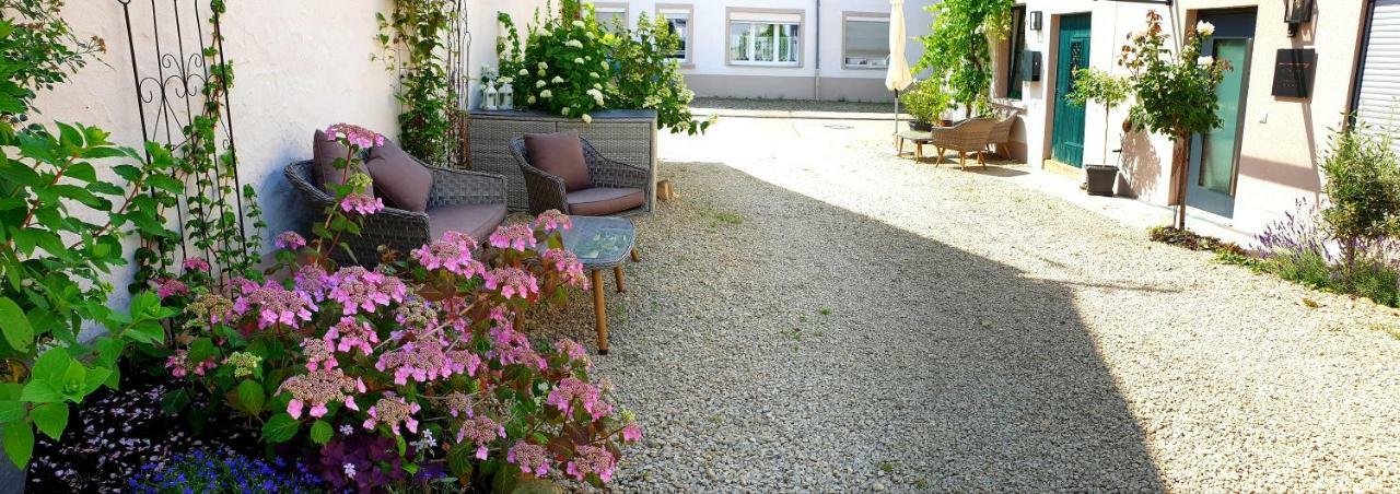 Zur Alten Rebe Ferienhaus Und Weingut Konz Eksteriør bilde