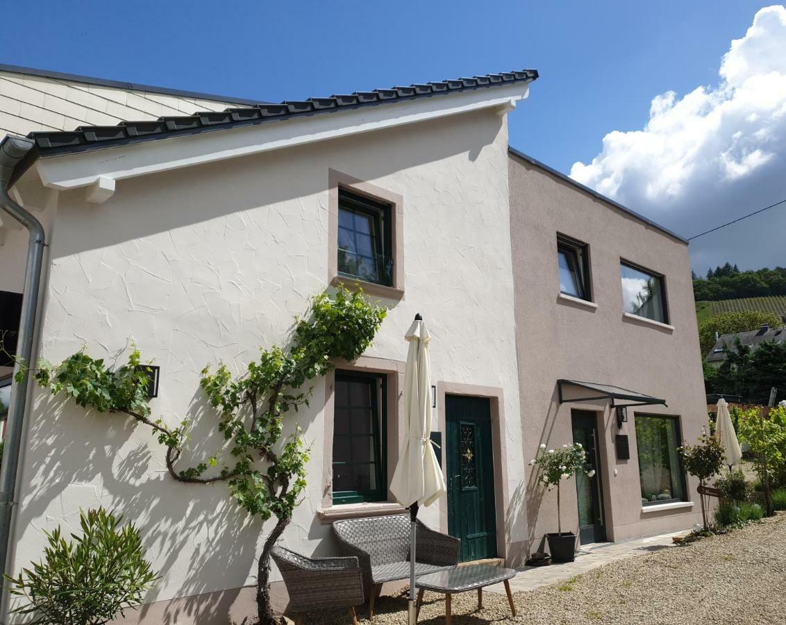 Zur Alten Rebe Ferienhaus Und Weingut Konz Eksteriør bilde
