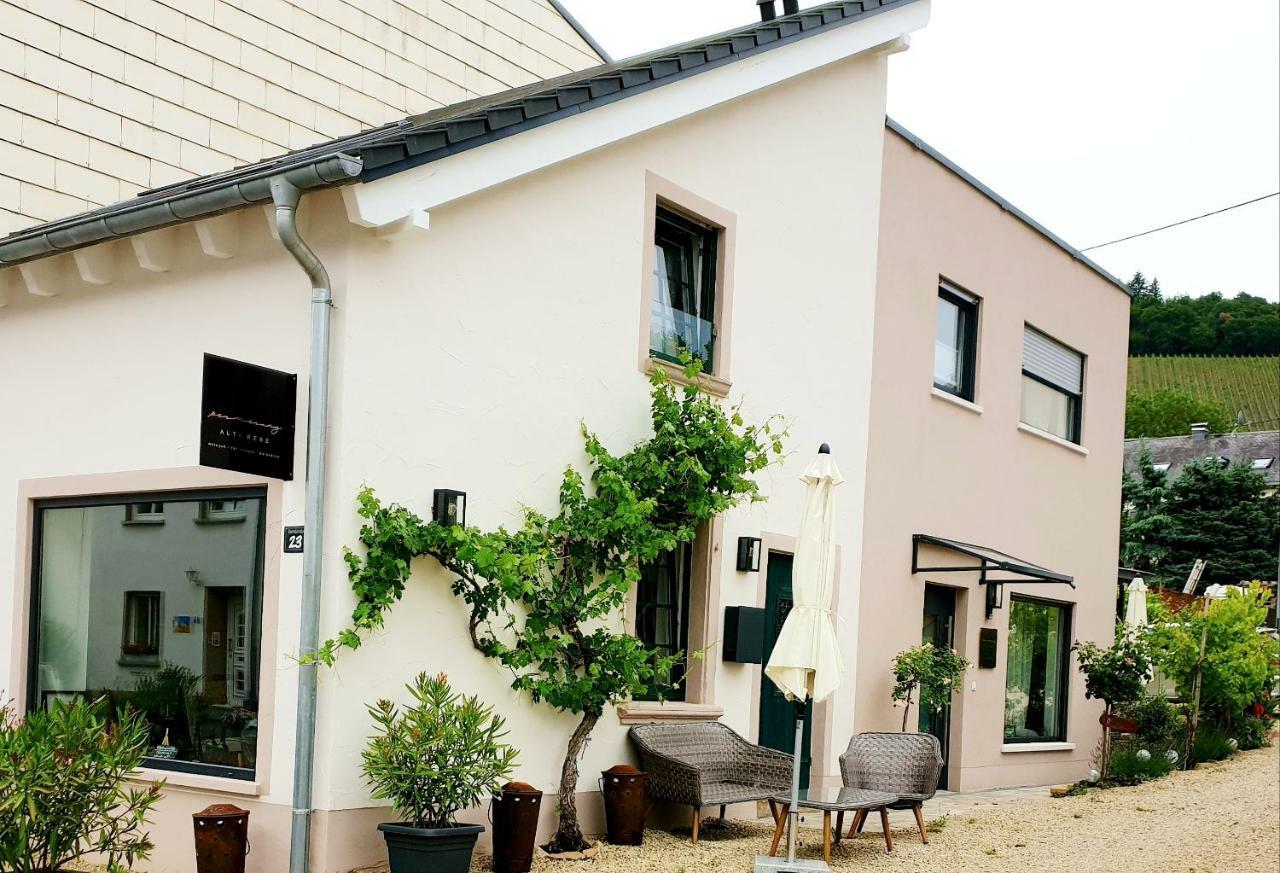 Zur Alten Rebe Ferienhaus Und Weingut Konz Eksteriør bilde
