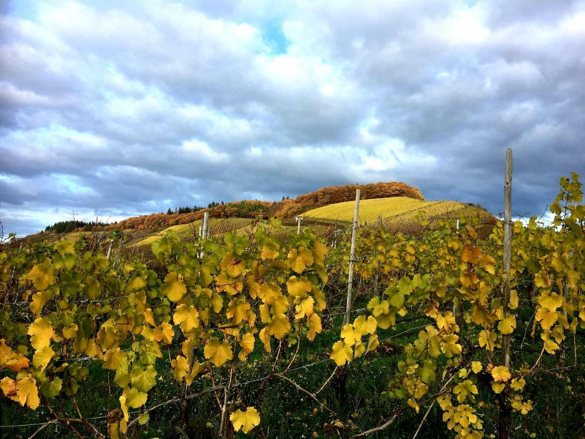 Zur Alten Rebe Ferienhaus Und Weingut Konz Eksteriør bilde